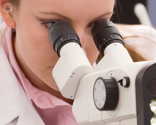 medicina-rigenerativa-una-possibile-soluzione-per-i-tessuti-danneggiati immagine dell'articolo