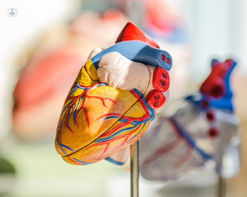 chirurgia-mininvasiva-della-valvola-aortica immagine dell'articolo