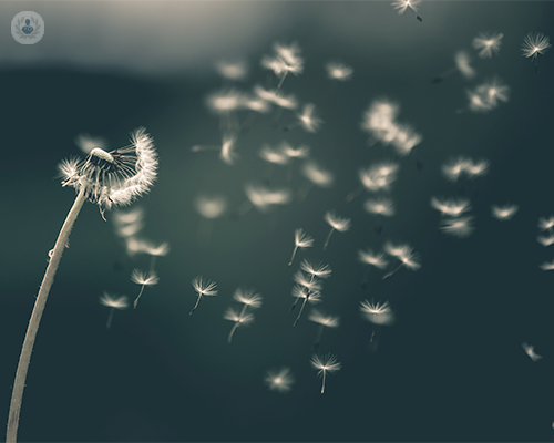 le-allergie-respiratorie-scopriamone-di-piu immagine dell'articolo
