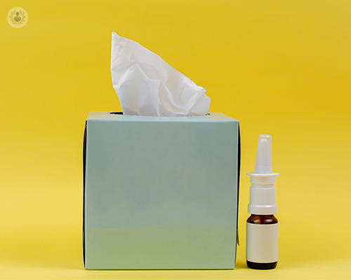 malattia-allergiche-asma-e-rinite-allergica immagine dell'articolo