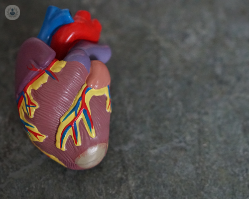 carotidi immagine dell'articolo