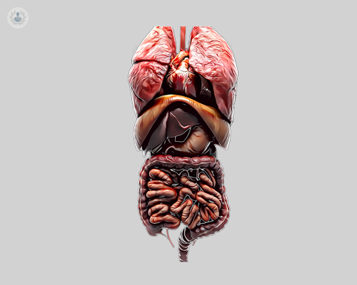 chirurgia-bilio-digestiva-quando-e-necessaria immagine dell'articolo