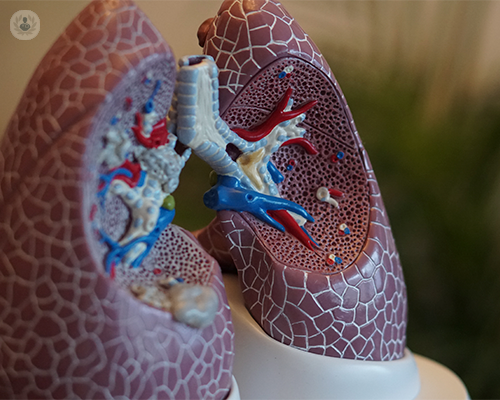 Fibrosi polmonare: caratteristiche della malattia! 