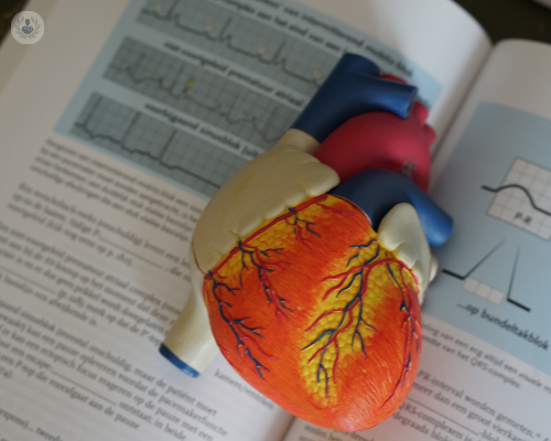 cardiopatia-ischemica-l-importanza-della-prevenzione immagine dell'articolo