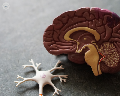 sclerosi-multipla-sintomi-e-fattori-di-rischio immagine dell'articolo