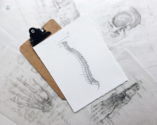 protesi-dinamiche-nella-chirurgia-del-rachide-lombare-e-cervicale immagine dell'articolo