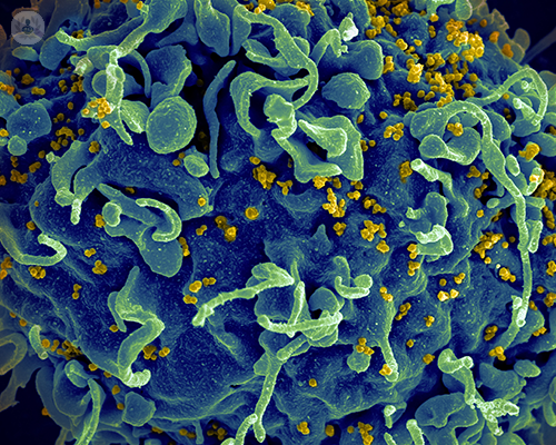 glioblastoma-come-trattarlo-con-la-gamma-knife immagine dell'articolo