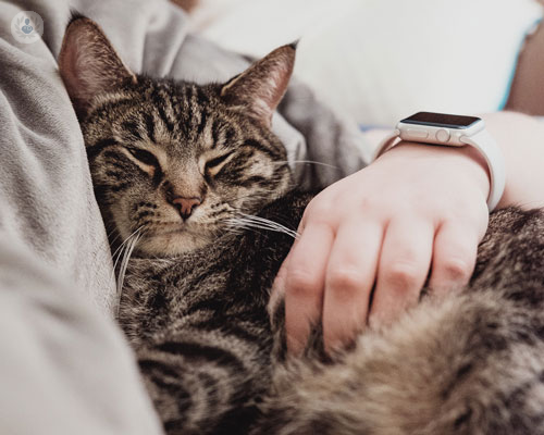 la-toxoplasmosi-un-parassita-potenzialmente-pericoloso immagine dell'articolo