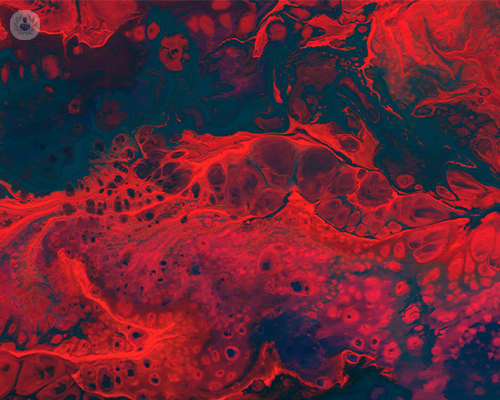 anemia-identifica-comprendi-e-cura immagine dell'articolo