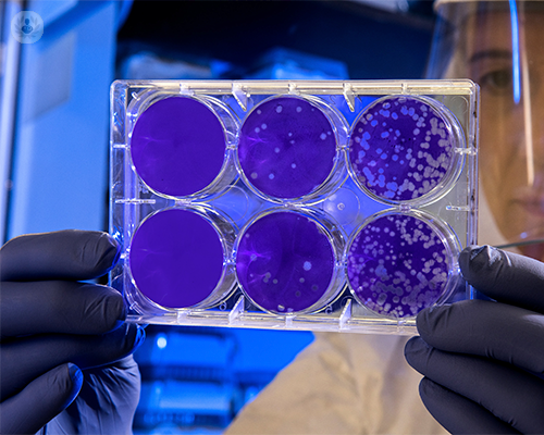 medicina-rigenerativa-infiltrazioni-con-cellule-staminali immagine dell'articolo