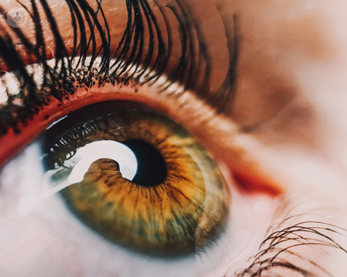 terapie-sistemiche-in-pazienti-glaucomatosi-in-che-cosa-consistono immagine dell'articolo