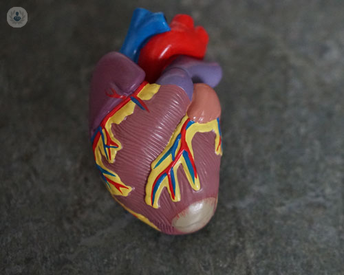 trattamento-non-chirurgico-delle-valvole-cardiache-attraverso-cateteri-tavi-e-mitraclip immagine dell'articolo