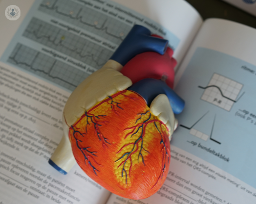 parliamo-dello-scompenso-cardiaco immagine dell'articolo