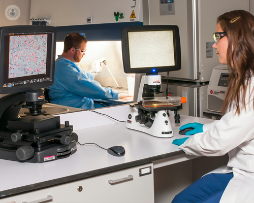biopsia-prostatica-come-quando-e-perche-eseguirla immagine dell'articolo