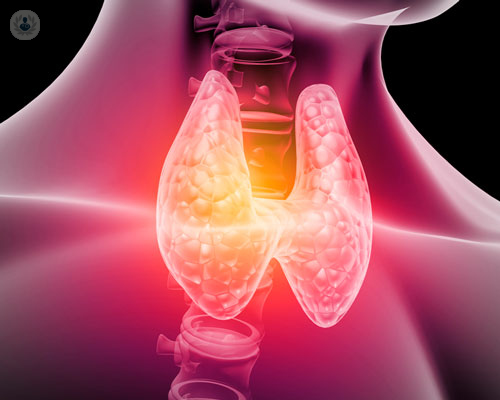 tiroide-come-e-perche-controllarla-regolarmente immagine dell'articolo