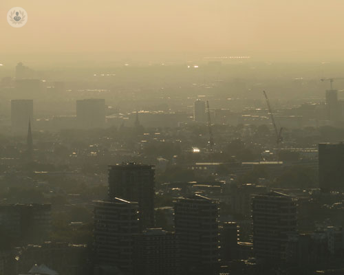 relazione-tra-smog-e-aumento-delle-allergie-cosa-sta-succedendo immagine dell'articolo