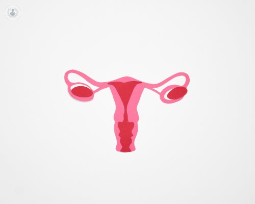 carcinoma-dell-endometrio immagine dell'articolo