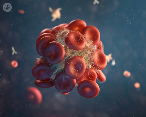 piastrinopenia-immune-pti-scopri-di-piu immagine dell'articolo