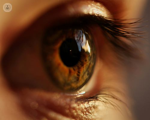 le-distrofie-retiniche-regmatogene-approfondimenti-sull-occhio immagine dell'articolo