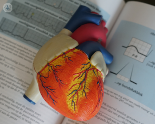 endoprotesi-stent-vantaggi-e-svantaggi immagine dell'articolo