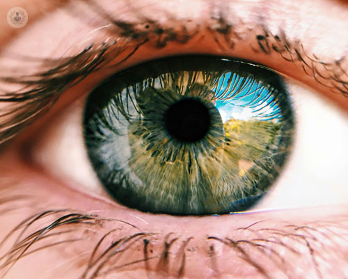 oct-tomografia-a-coerenza-ottica-uno-strumento-fondamentale-nelle-patologie-oculari immagine dell'articolo