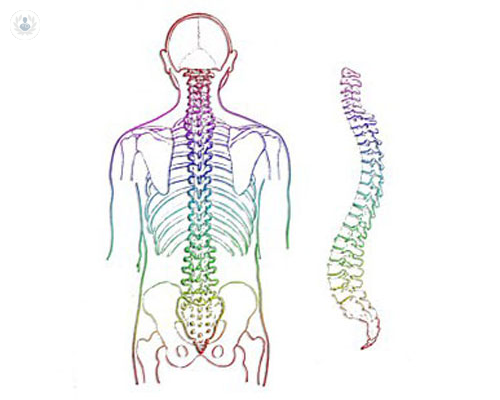 come-gestire-la-lombosciatalgia immagine dell'articolo