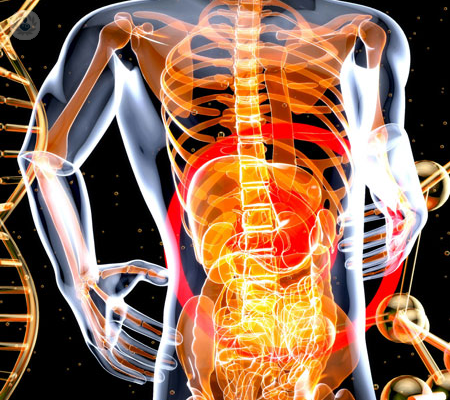 disbiosi-intestinale-cos-e-e-come-trattarla immagine dell'articolo