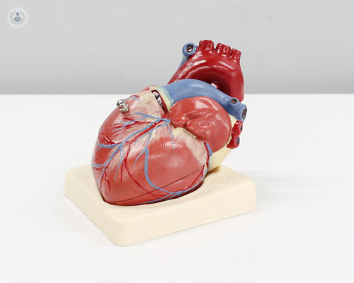 il-loop-recorder-cardiaco-il-registratore-del-ritmo-cardiaco immagine dell'articolo