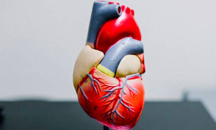 cardiochirurgia-pediatrica-conosciamo-la-tetralogia-di-fallot immagine dell'articolo