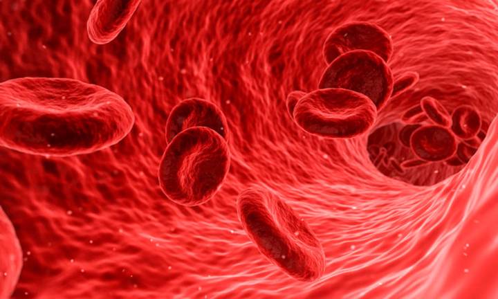 che-cos-e-la-dislipidemia immagine dell'articolo