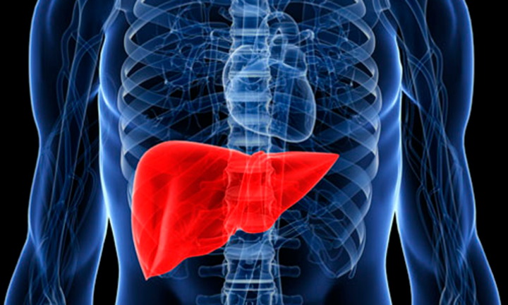 il-trapianto-di-fegato-per-epatocarcinoma immagine dell'articolo