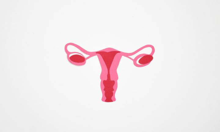 endometriosi-la-malattia-silenziosa-delle-donne immagine dell'articolo