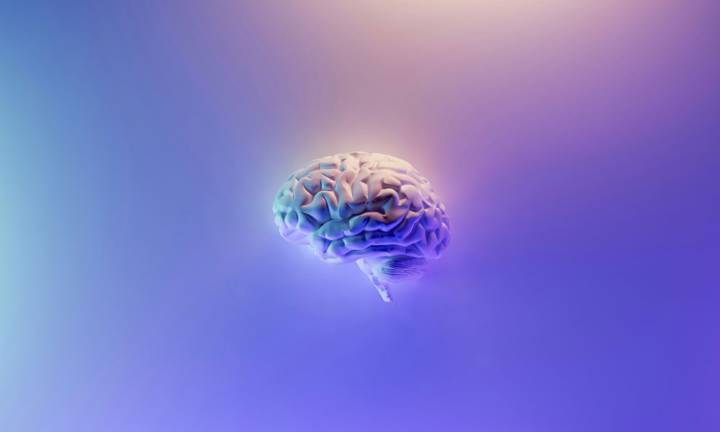 idrocefalo-domande-frequenti immagine dell'articolo