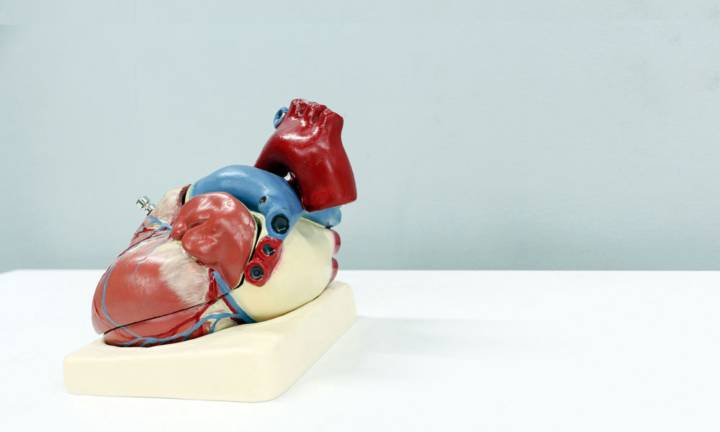 ecocardiografia-transtoracica-quando-e-perche-farla immagine dell'articolo