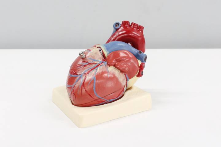 in-che-cosa-consiste-la-tavi immagine dell'articolo