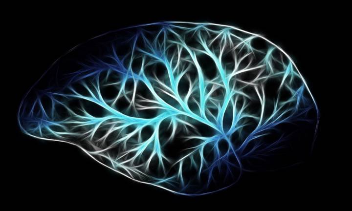 stenosi-carotidea-cosa-sapere-come-prevenirla immagine dell'articolo