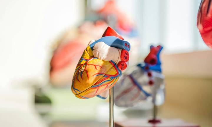 dispositivi-di-assistenza-ventricolare-vad-innovazioni-e-prospettive-in-italia immagine dell'articolo