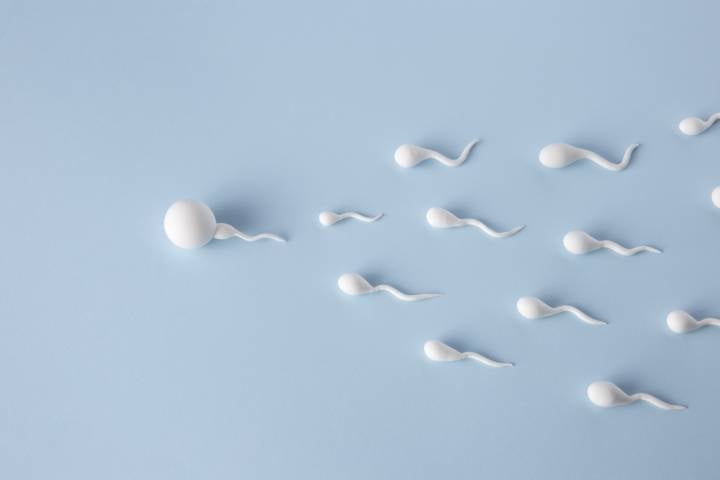 microbiota-seminale-ruolo-fondamentale-fertilita-maschile immagine dell'articolo