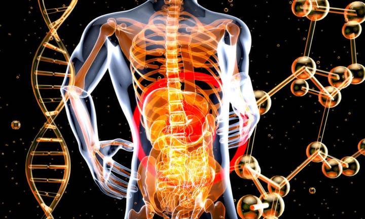 malattie-infiammatorie-intestinali-cause-sintomi-trattamenti immagine dell'articolo