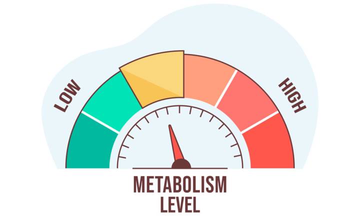 comprendere-le-malattie-metaboliche-dalla-diagnosi-alla-gestione-efficace immagine dell'articolo