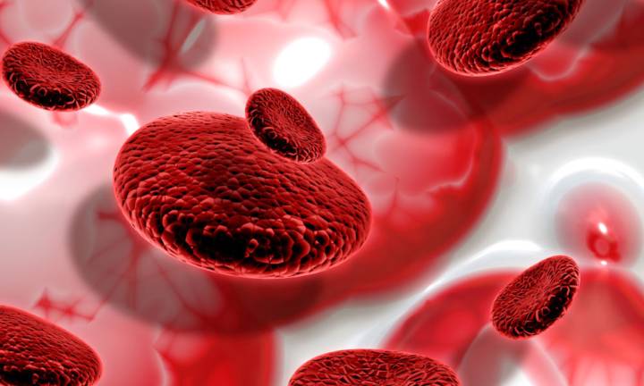 dislipidemia-come-gestire-i-livelli-di-colesterolo-e-trigliceridi-per-proteggere-il-cuore immagine dell'articolo