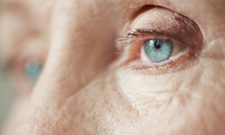 cataratta-comprendere-questa-patologia-visiva-e-le-sue-opzioni-di-trattamento immagine dell'articolo