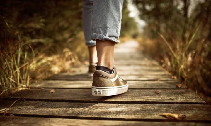 ortopedia-traumatologia-sistema-motorio-prevenzione-cura-delle-lesioni immagine dell'articolo