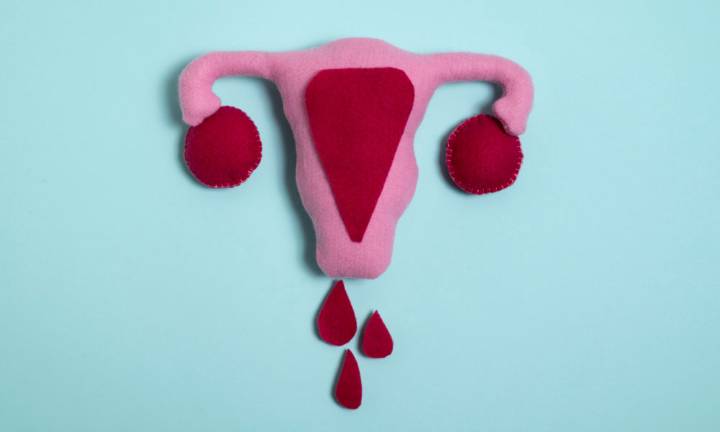 rimozione-laparoscopica-degli-endometriomi-cosa-aspettarsi-e-come-preservare-la-funzionalita-ovarica immagine dell'articolo