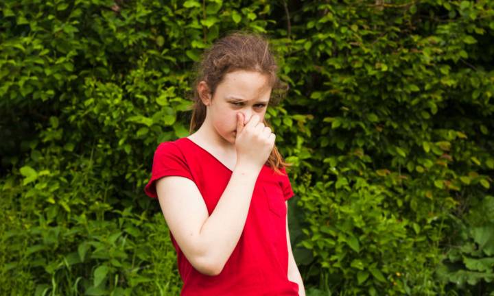 come-riconoscere-e-gestire-le-allergie-respiratorie-nei-piu-piccoli immagine dell'articolo