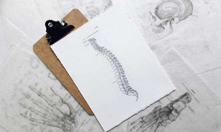 spondilolistesi-basta-dubbi immagine dell'articolo