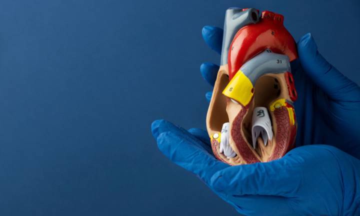 cardiopatia-ischemica-trattamenti-avanzati-e-nuove-prospettive-chirurgiche immagine dell'articolo