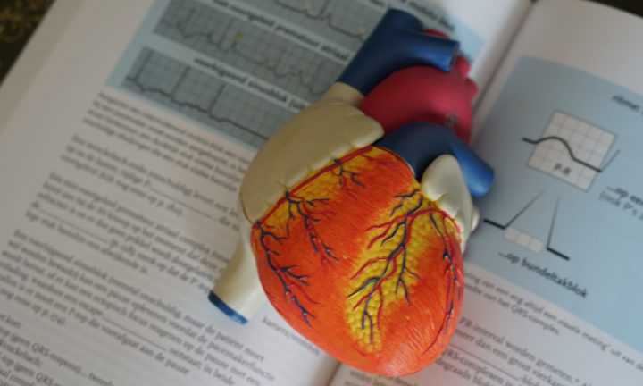 impatto-della-fibrillazione-atriale-sulla-qualita-di-vita-e-sulle-complicanze-sistemiche immagine dell'articolo
