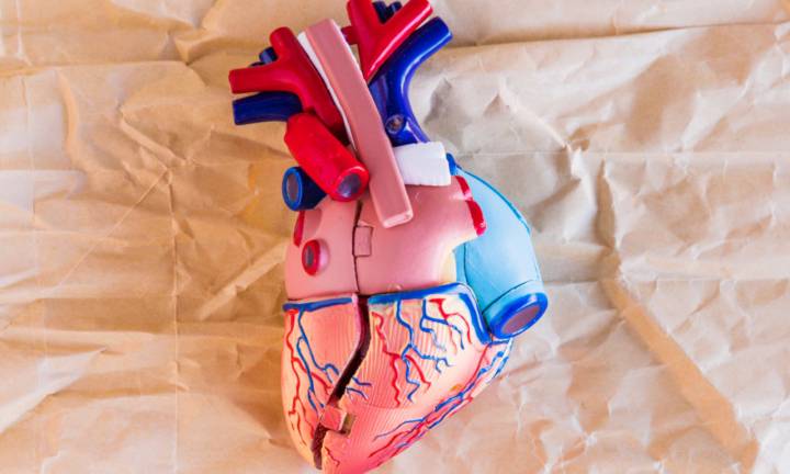 rivascolarizzazione-miocardica-bypass-due-arterie-mammarie-arteria-radiale immagine dell'articolo