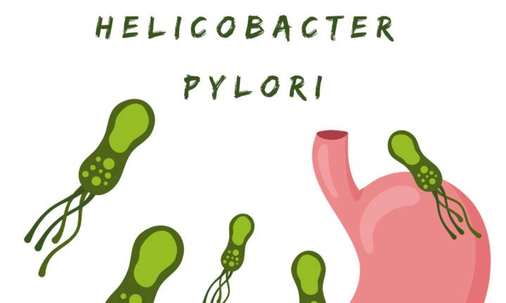 helicobacter-pylori-possibile-abitante-dello-stomaco-umano immagine dell'articolo